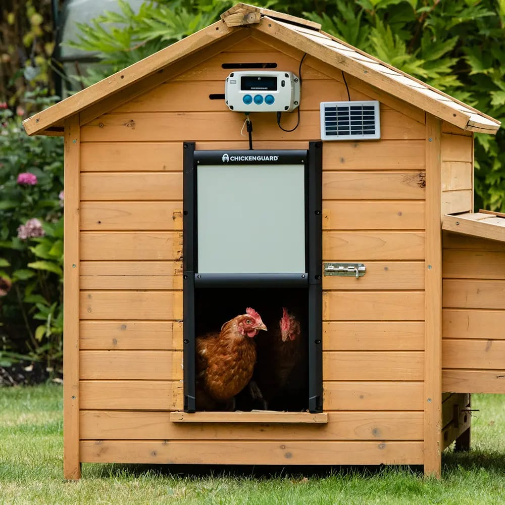 CoopGuard Pro Kit with chickens coming through door